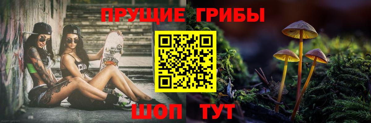 Галлюциногенные грибы Psilocybe Гуково